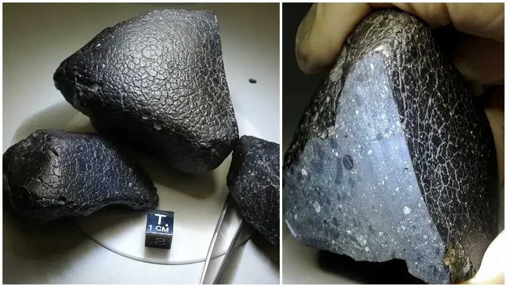Жизнь после метеорита. Метеорит черная красавица. Марсианский метеорит. Метеорит на земле. Камень в Египте из метеорита.